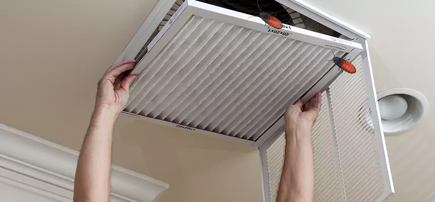 Our Insect Removal from Air Ducts Services in Tucker, GA