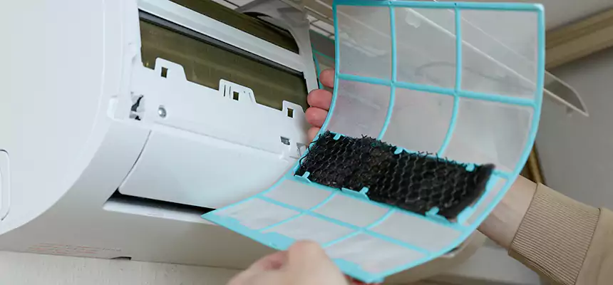 Gentle Ductwork Odor-Control Pet Dander Duct Cleaning in Tucker, GA