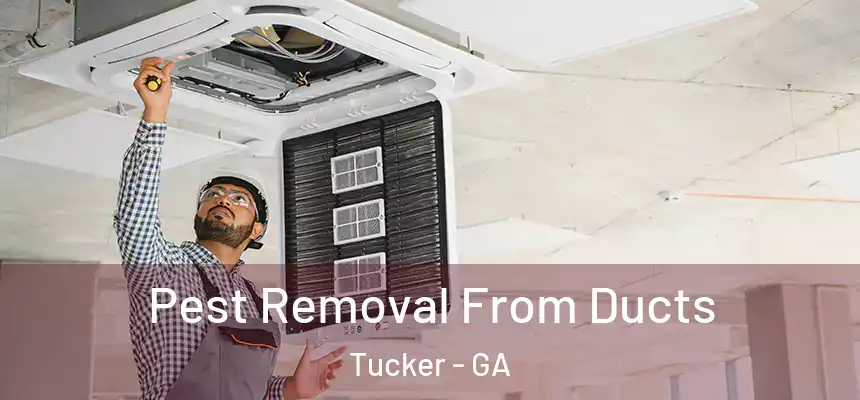  Pest Removal From Ducts Tucker - GA