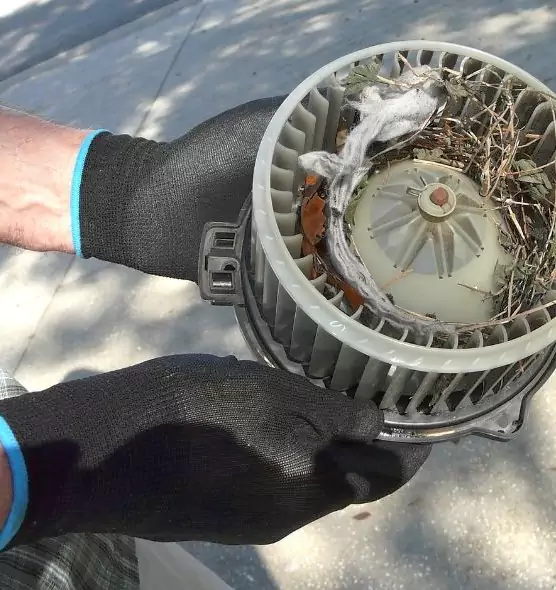 About Air Duct Mice Removal in Tucker, GA