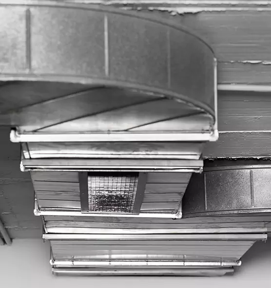 Professional Air Duct Pest Removal in Tucker, GA