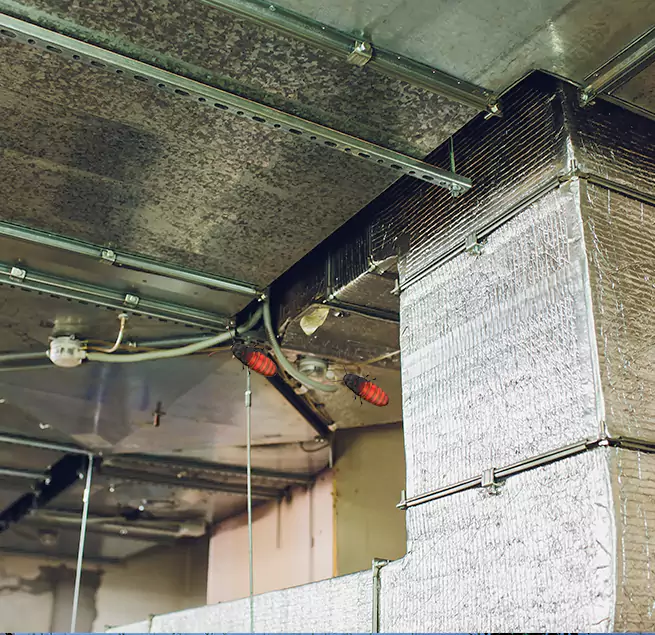 Why Homeowners & Businesses Trust Us in Tucker, GA?