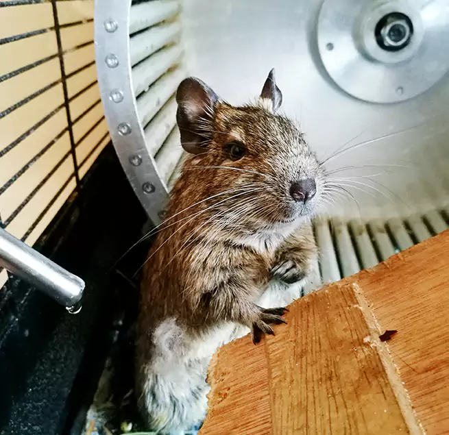 Why Homeowners & Businesses Trust Us Tucker, GA?