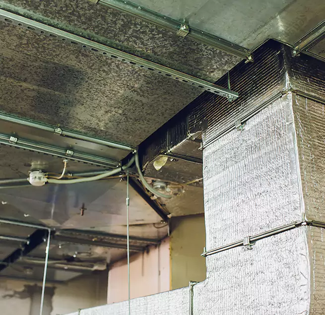 Why Homeowners & Businesses Trust Us in Tucker, GA?